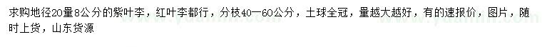 求購8公分紫葉李、紅葉李