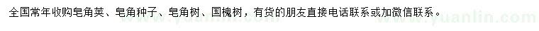 求購皂角種子、皂角夾、皂角樹等
