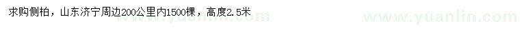 求購高度2.5米側(cè)柏