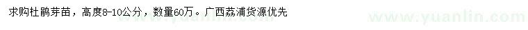 求購(gòu)高8-10公分杜鵑芽苗