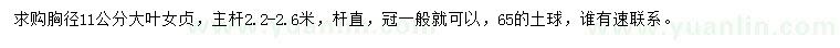 求購(gòu)胸徑11公分大葉女貞