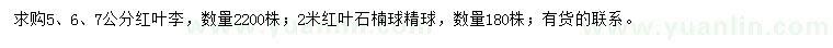 求購5、6、7公分紅葉李