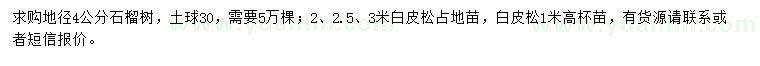 求購地徑4公分石榴樹、高1、2、2.5、3米白皮松