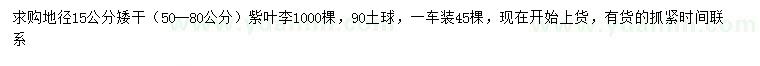 求購地徑15公分紫葉李