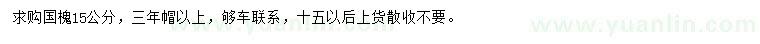 求購(gòu)15公分國(guó)槐