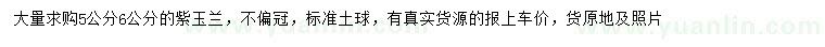 求購5、6公分紫玉蘭