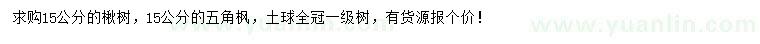 求購15公分楸樹、五角楓