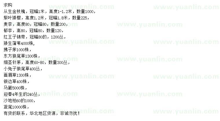 求購從生金枝槐、紫葉矮櫻、麥李等