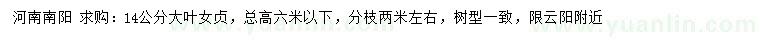 求購14公分大葉女貞