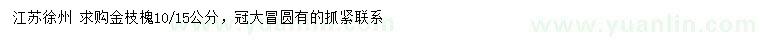 求購10、15公分金枝槐