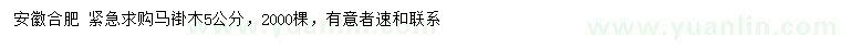 求購5公分馬褂木