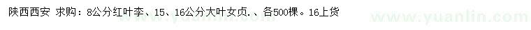 求購8公分紅葉李、15、16公分大葉女貞