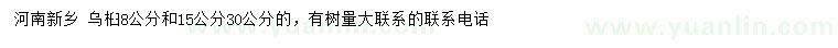 求購8、15、30公分烏桕