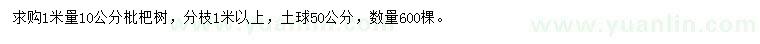 求購1米量10公分枇杷樹