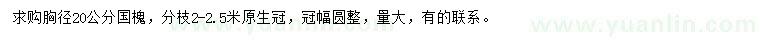 求購(gòu)胸徑20公分國(guó)槐