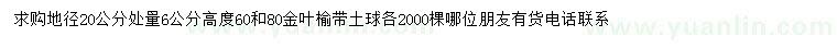 求購地徑20公分6公分金葉榆
