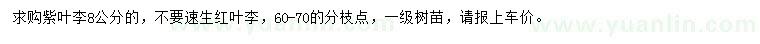求購8公分紫葉李