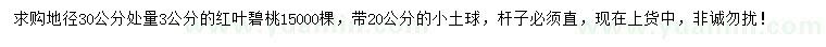 求購30量3公分紅葉碧桃