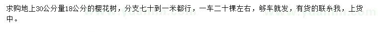 求購地上30量18公分櫻花樹