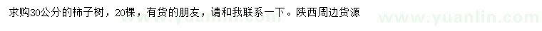 求購30公分柿子樹