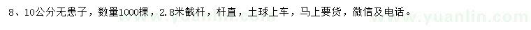 求購8、10公分無患子