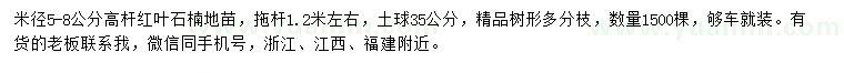 求購米徑5-8公分高桿紅葉石楠