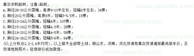 求購胸徑13-14、15-16、18-20、24-26、28-30公分國槐