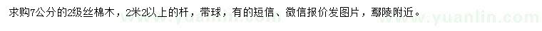 求購7公分絲棉木