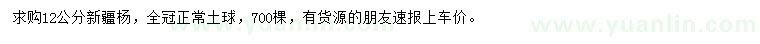 求購12公分新疆楊