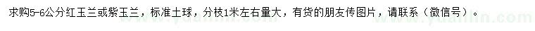 求購5-6公分紅玉蘭或紫玉蘭