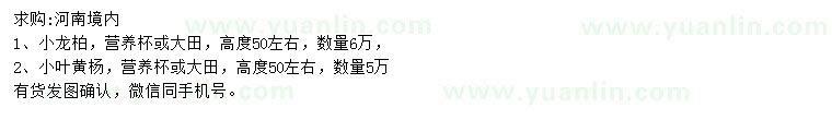 求購高度50公分左右小龍柏、小葉黃楊