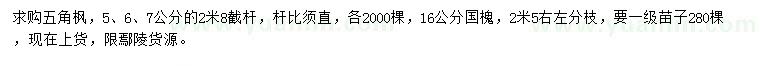 求購5、6、7公分五角楓、16公分國槐