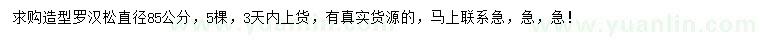 求購(gòu)直徑85公分造型羅漢松