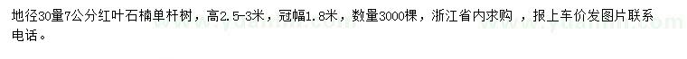 求購30量7公分紅葉石楠