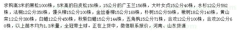 求購黑松、白皮松、廣玉蘭等