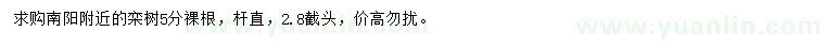 求購5公分欒樹