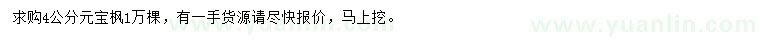 求購4公分元寶楓