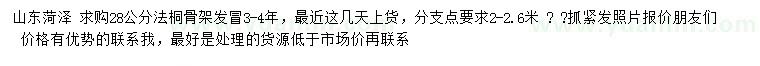 求購(gòu)28公分法桐