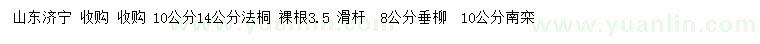 求購法桐、垂柳、南欒