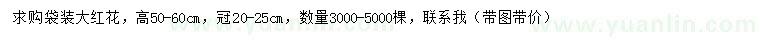 求購高50-60公分大紅花
