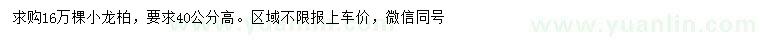 求購高40公分小龍柏