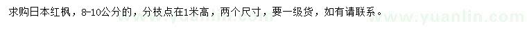 求購8-10公分日本紅楓
