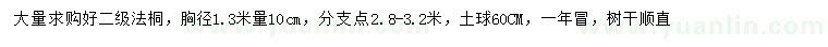 求購胸徑1.3米量10公分法桐