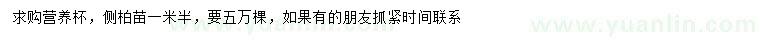 求購(gòu)1.5米側(cè)柏苗