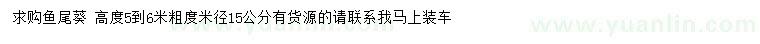 求購(gòu)米徑15公分魚(yú)尾葵
