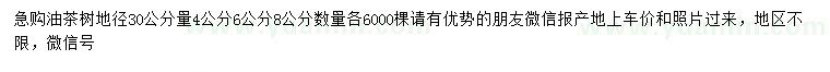求購地徑30公分量4、6、8公分油茶樹