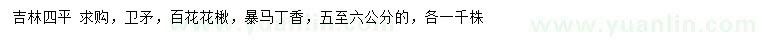 求購衛(wèi)矛、百花花楸、暴馬丁香