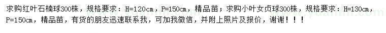 求購(gòu)高120公分紅葉石楠球、130公分小葉女貞球