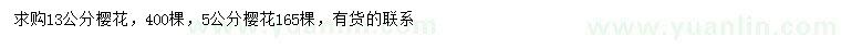 求購5、13公分櫻花