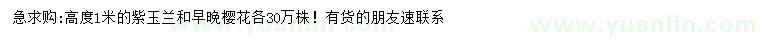 求購(gòu)紫玉蘭、早櫻、晚櫻